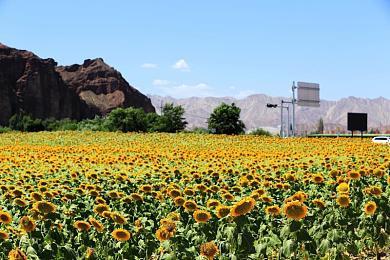 文字冒险游戏《精灵戏剧：复读机不会获得幸福》Steam页面 明年发售