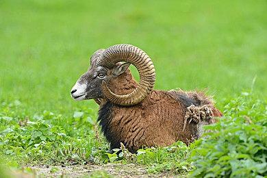 国风解谜《山海旅人》官方终极预告片 9月10日逆梦开启