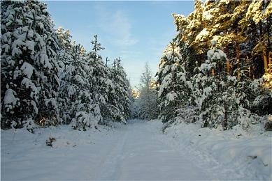 《乡野奇运》试玩版发布!支持简中!